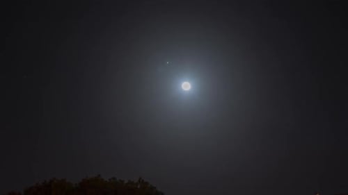 Mond