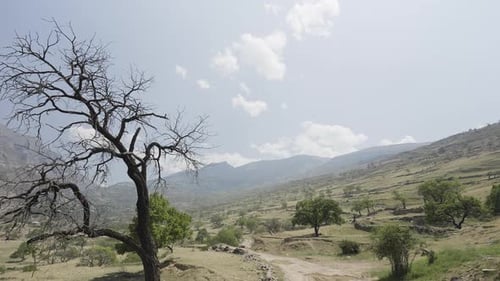 Landschaft von trockenem Gelände mit Bergen und Bäumen