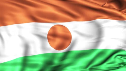 Realistic Niger Flag Waving Seamless Loop Animation