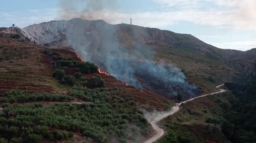 Hill Burns