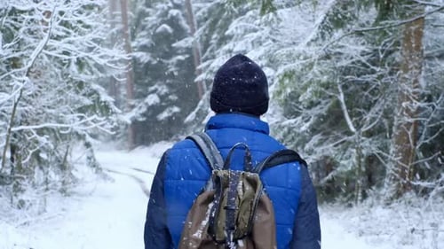 Walks in the winter forest.Winter tourism.A man with a backpack