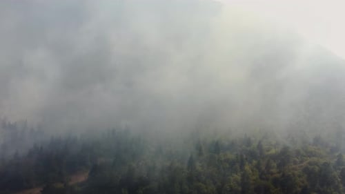 Luftaufnahme des Feuers im Wald. Filmmusik Luftaufnahme im Wald.