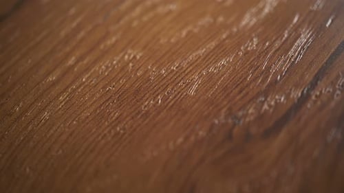 Textured Brown Surface with Glistening Droplets Close Up