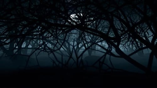 Dark Forest Night Scene with Full Moon and Fog