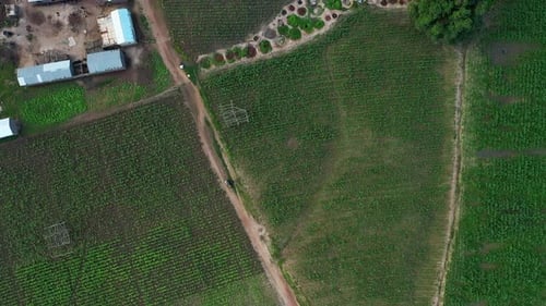 Africa Mali Village And People Aerial View 13