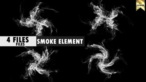 Dynamic Fluid Smoke Swirl Transition Reveals