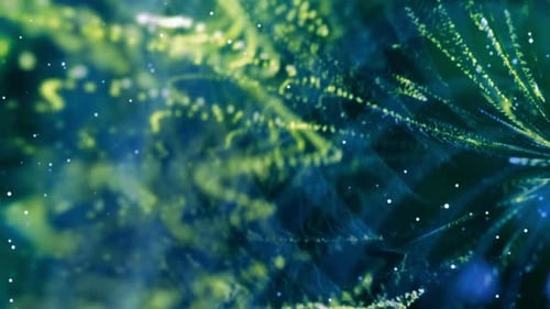 Soft Particle Waves 08