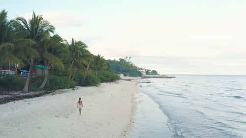 Drone View Woman Walking on Sandy Beach on Sea Shore. Aerial Landscape Girl Going on Tropical Beach
