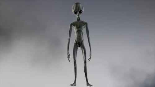 3D Animated Grey Alien Character for Sci-Fi Projects
