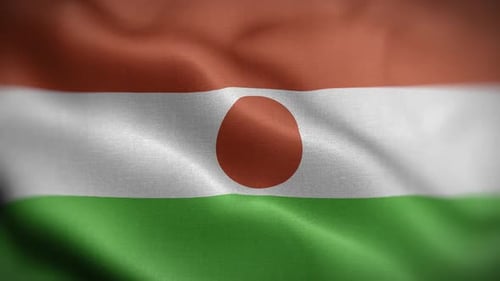 Realistic Waving Flag of Niger Seamless Loop