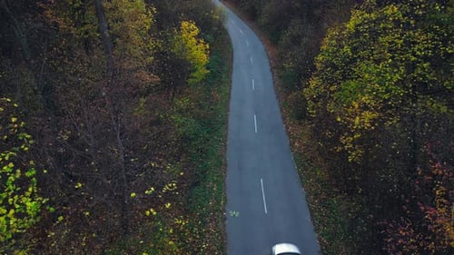 Aerial View on Car Driving Through Autumn Forest Road