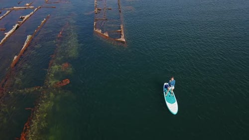 Aerial Shot