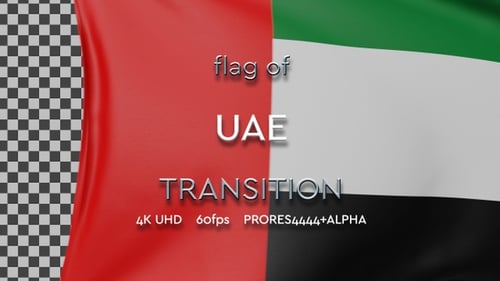 Waving UAE Flag Realistic Animation with Alpha Channel
