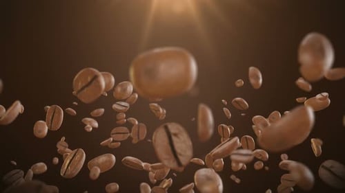 Animated Coffee Beans Floating Upwards with Light Rays