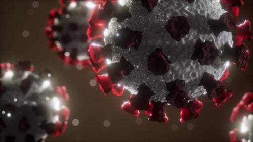 Coronavirus COVID19 Medical Model