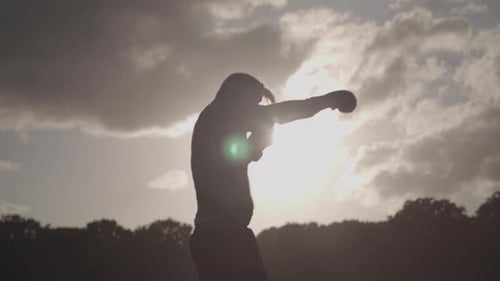Young Man Shadow Boxing On Summers Evening In Park