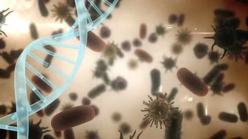 3D DNA Helix, Blood Cells, Bacteria, and Viruses Scientific Animation