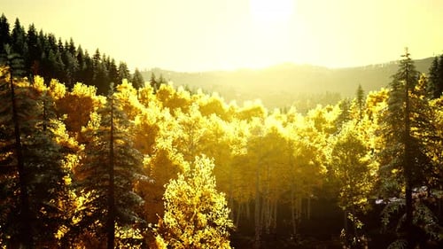 Bright Sunset in the Mountains