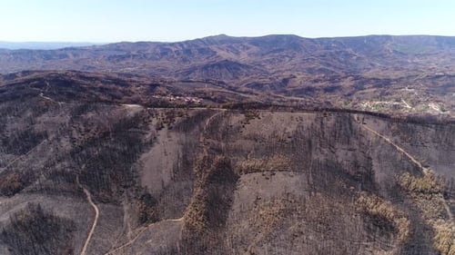 Natural Disaster. Mountain Forest After Fire