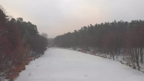 Winterwald, gefrorener See