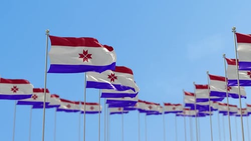 Realistic Group of Flags Waving in the Wind