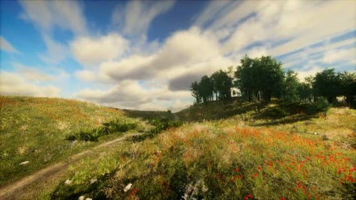 Heavy Rain Clouds Over the Field at the Sunset