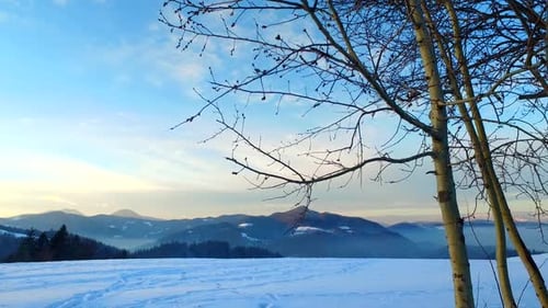 Cold Winter Day Ending on the Snowy Field