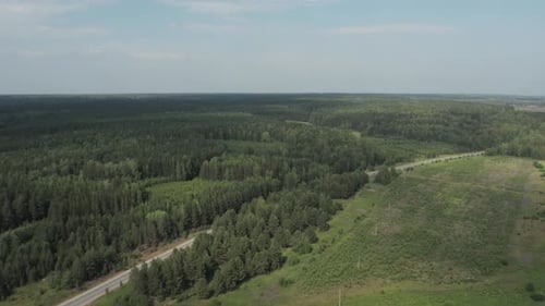 Route asphaltée entre les forêts de l'Oural