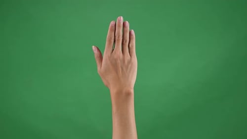 Put Hand Up On Green Screen Background