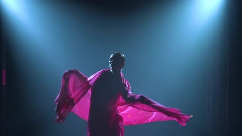 Silhouette d'une jeune fille danseuse dans un sari rouge, danse folklorique indienne, photographiée dans un studio sombre avec de la fumée