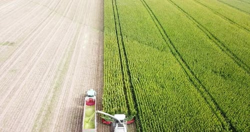 Drone following a harvesting machine