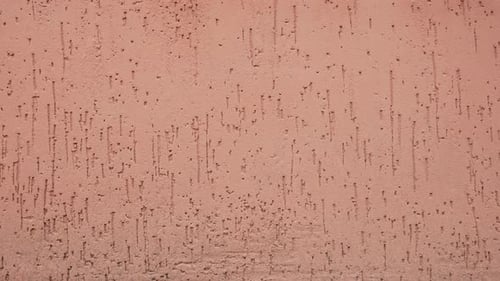 Texture Rock Plastered Stucco Pastel Wall