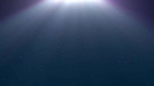 Elegant Light Rays Reveal Opener Animation