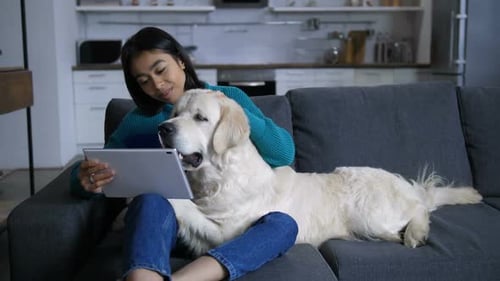Woman Relaxing with Dog on Couch Watching Tablet