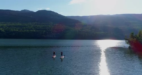Couple rowing a stand up paddle board in the river 4k