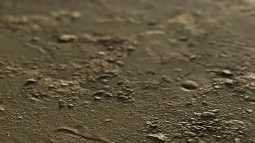 Closeup of Dirty Ground Road