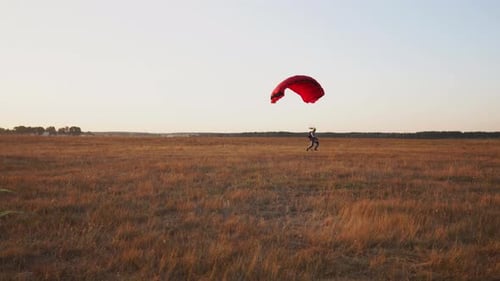 Fallschirmspringer landet auf dem Feld, nachdem er vor dem Hintergrund anderer aus dem Flugzeug ausgestiegen ist