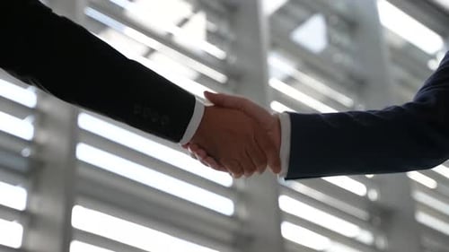 Handshake 06