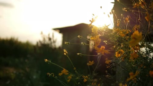 Sommer-Land