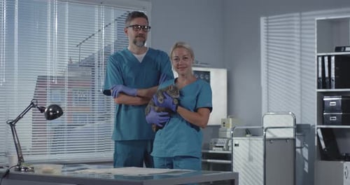 Veterinarians Holding Cat in Medical Setting