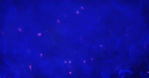 Close-up of blue defocused 4k