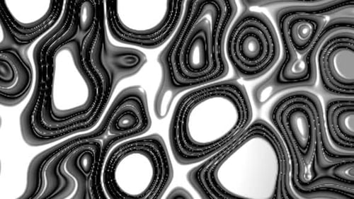 Black And White Illusion