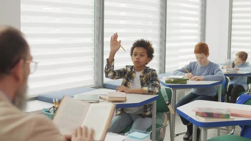 Elementary Student Raising Hand in Bright Classroom