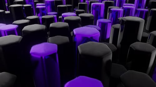 Purple And Black Hexagons