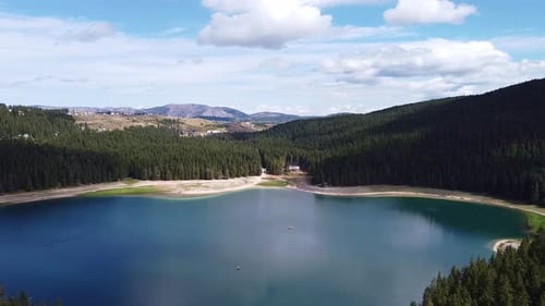 Panorama View of Big Lake Surrounded By Coniferous Forest