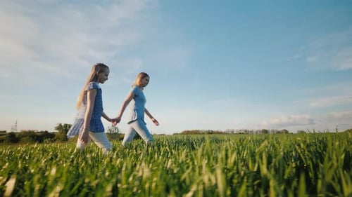 Side View Mom and Daughter Walk Through a Picturesque Meadow at Sunset Hold Hands