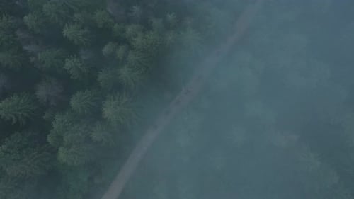 Aerial View of ATV Team Driving Through the Forest in the Mountains