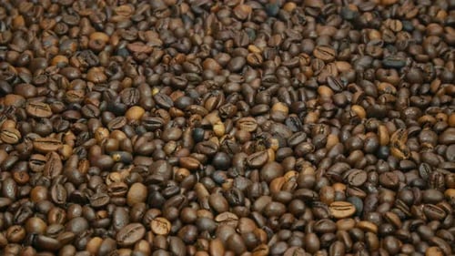 Roasted Coffee Beans Filling the Frame