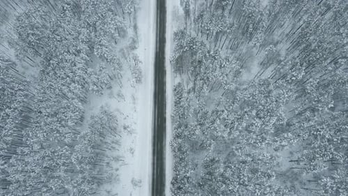 Snow Road Through Winter Forest Aerial View