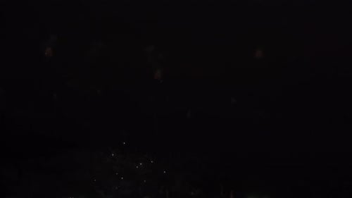 Spectacular Fireworks Exploding in the Night Sky